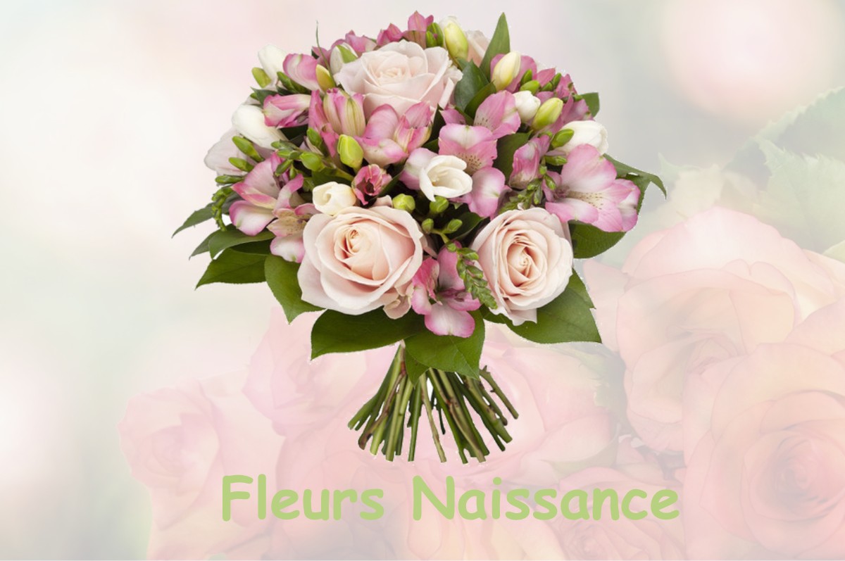 fleurs naissance LA-BOUILLADISSE