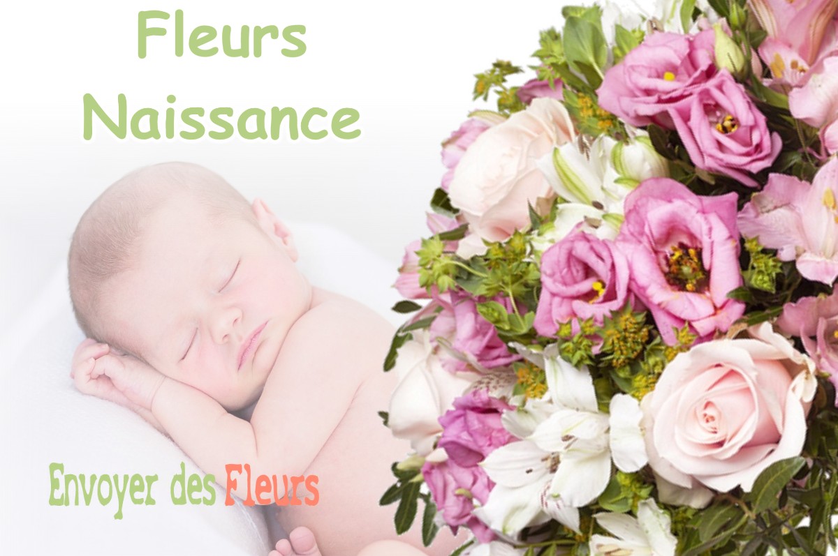 lIVRAISON FLEURS NAISSANCE à LA-BOUILLADISSE